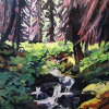 Forest creek, Sold